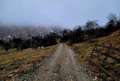 Teren intravilan Simon/Bran, 4318 mp , casuta intabulata, utilitati - 29