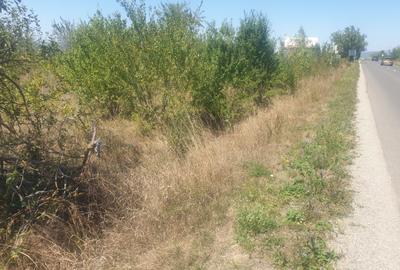 Teren Sanpetru intravilan acces din DJ - 5