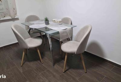 Apartament cu 2 camere în Brazda lui Novac - 3