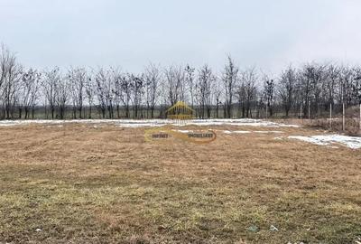 Teren în Săucești - 3