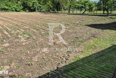 Casă cu 6 camere cu Teren 2300 Mp în Pomezeu - 9