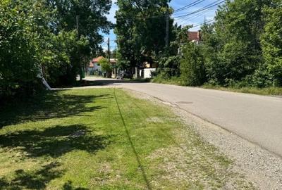 Teren Snagov – Ideal pentru dezvoltare rezidentiala sau investitie! - 3