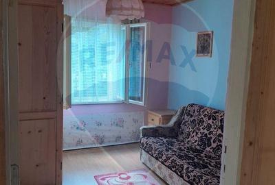 Casă cu 3 camere cu Teren 860 Mp în Băișoara - 18