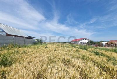 Teren de 4369 mp, în Chijic - 2