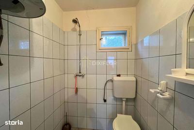 Casă cu 2 camere în Șieu - 10