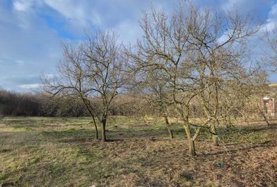 Spațiu comercial, în Hereclean - 1