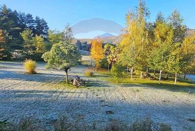 Casă cu 2 camere cu Teren 3100 Mp în Tărlungeni - 12