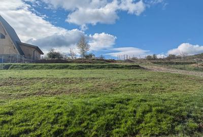 Spațiu comercial, în Central - 1