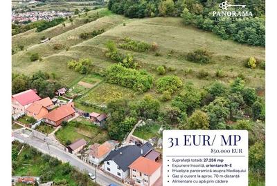 Teren intravilan de aproape 3 ha la liziera pădurii | cartierul Gloria - 2