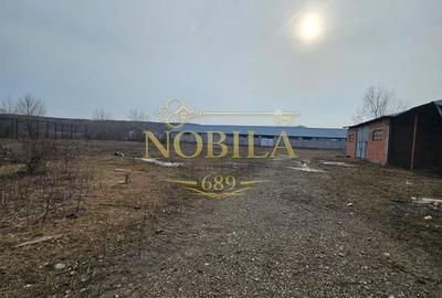 Spațiu comercial, în Popeni - 3