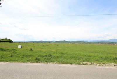 Teren intravilan curți-construcții, 564 mp, Prelungirea Panduri - 1