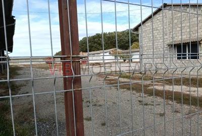 Ferma Agricola 1.350 Hectare Grad de Comasare 9697%, Chi?ineu Cri?, Jude?ul Arad - 2