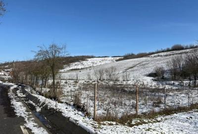 Teren în Ghercești - 4