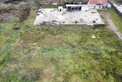 Casa cu teren de 14340 mp în Jebel/Pretabila pentru afacere - 9