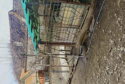 Van casa Valea Viilor - 5