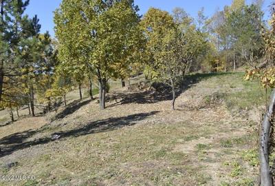Topoloveni - Conacul Ion Mihalache, Domeniu pe 5 Hectare - 55