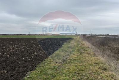 Teren intravilan 80500mp. aproape de nodul rutier de pe DX Oradea-Arad - 9