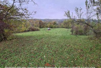 Teren intravilan in Provita de Jos 14.340 mp-- 90.000 e Teren intravilan in Provita de Jos 14.340 mp-- 90.000 e - 6