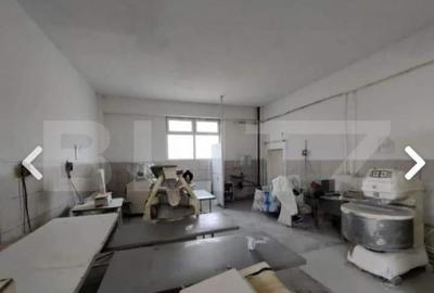 Brutarie S+P+E 600 mp, teren 1679 mp, Filipestii de Padure - 2