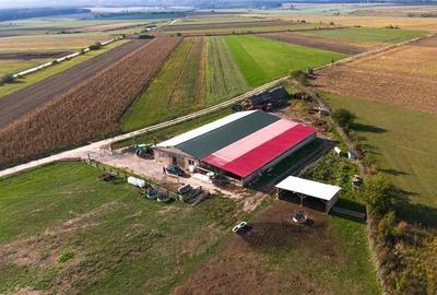 FILM! 18.000 mp,extravilan,agricol+constructii, recomandat:ferma,investitii agri - 6