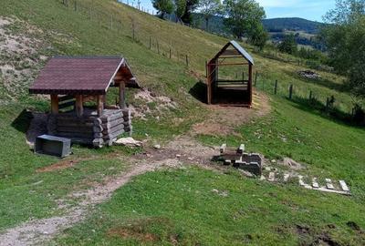 Teren de 56000 mp, în Arieșeni - 7