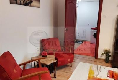 Apartament 2 camere SD - Podu Ros, 5 min mers pe jos Palas Mall - 2