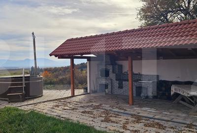 Casa de vanzare, sub padure, intr-un cadru natural deosebit – Sancraiu - 10