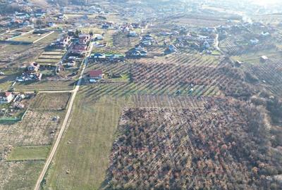 Teren Construcții intravilan de 4230 mp, în Paleu - 1