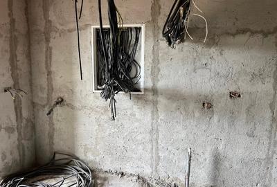 Casa de vânzare pe parter Peciu Nou - 9