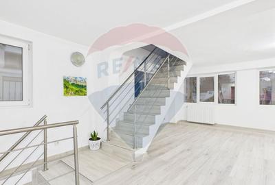 Vila  S+P+2E  Petre Ispirescu- Sebastian, renovata complet - 17