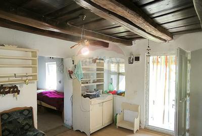 Casa de vacan?a in sat sasesc, Moarda? jude?u... - 11