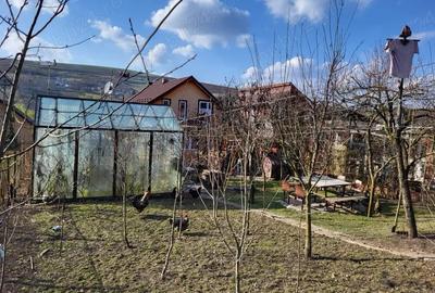 Casă cu 3 camere în Zau de Câmpie - 2