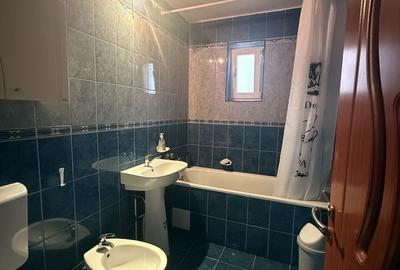 Spațiu comercial, de 100 mp, în Dosu Bricii - 6