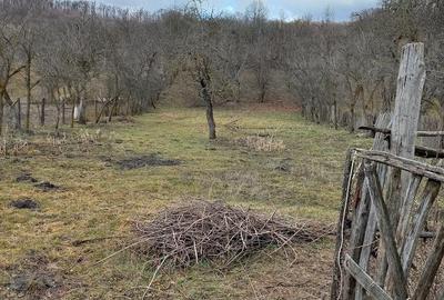 Casă cu 2 camere cu Teren 3000 Mp în Drăghici - 9
