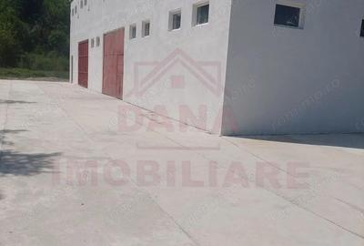 Spațiu comercial, de 150 mp, în Băuțar - 10