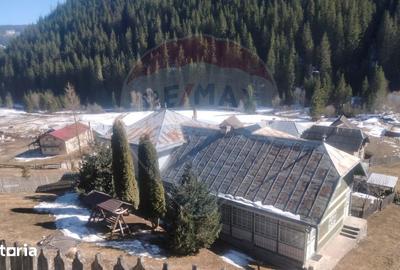 Casă cu 7 camere cu Teren 6965 Mp în Panaci - 19