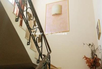 Vila 9 camere Cotroceni- Parcul Operei - 14