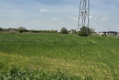 Teren agricol extravilan de 9983 mp, în Berceni - 2