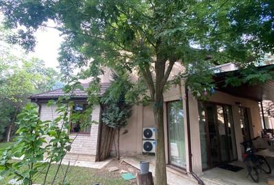 REV2002959 Casa  4 camere Pipera - 3