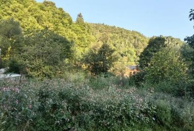 Casă cu 11 camere cu Teren 1560 Mp în Moieciu - 4