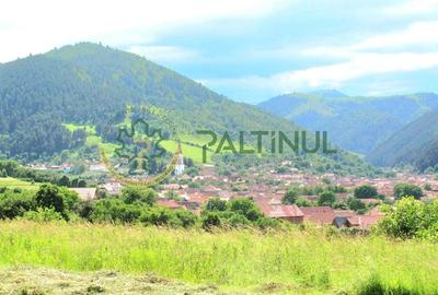 Teren in Rasinari, Sibiu 3010 mp cu priveliste superba - 2