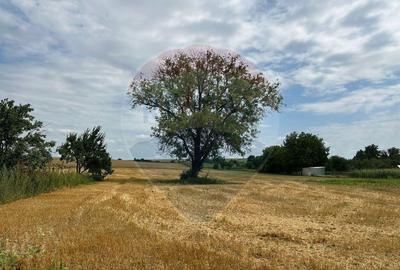Teren intravilan 4.779 mp + casa ?i anexe Girov, Ne...