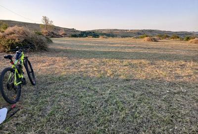 Spațiu comercial, în Tohani - 5