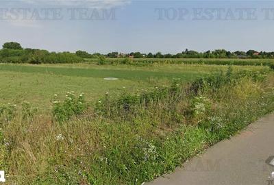 Teren de 500 mp, în Gruiu