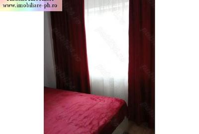 Apartament cu 2 camere decomandat, mobilat în 9 Mai - 3