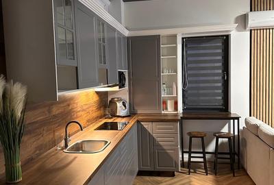 MINERILOR REZIDENTIAL apartament cu 1 camera ultrafinisat! - 11
