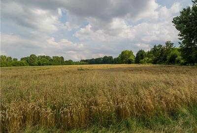 8.000 mp teren intravilan, Tractorul, Brasov - 3