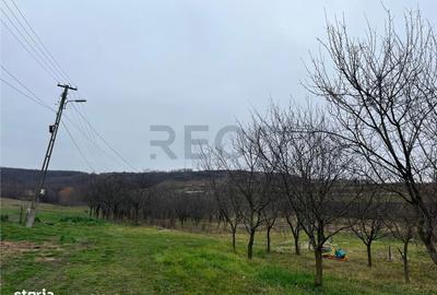 Teren de 500 mp, în Hidiș - 4