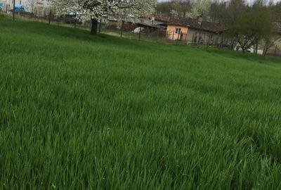 Vand casa si teren in loc.Baneasa, jud.Constanta - 3