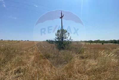 Teren cu hala, Bucsani, Crevedia / DN 61 (A1, A0) 40 Km ... - 3